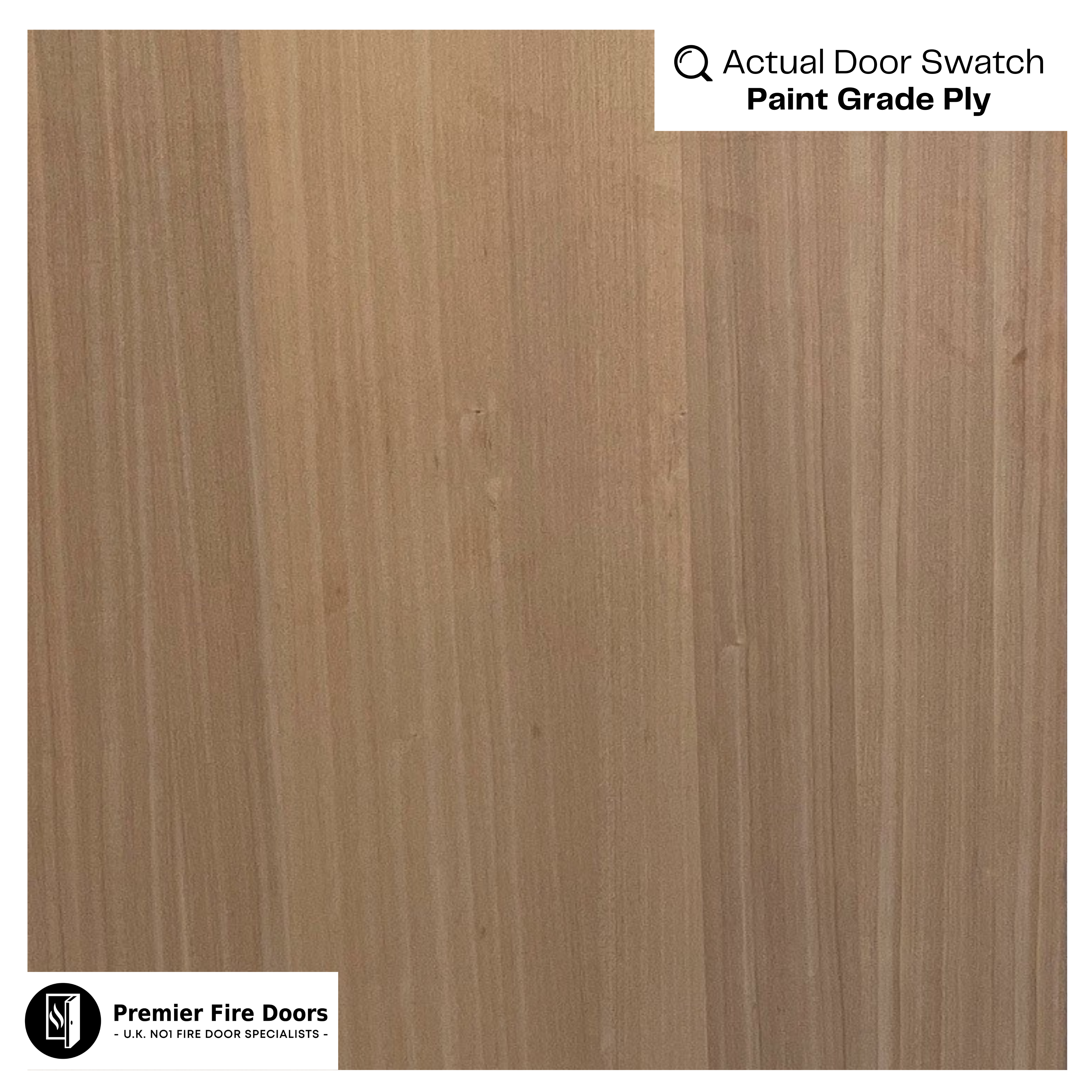 Paint grade plywood door swatch showing natural wood grain, ideal for internal fire doors.