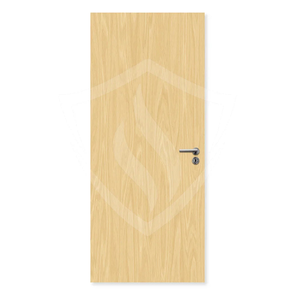 Single leaf flush ash fire door with wood grain finish and modern handle