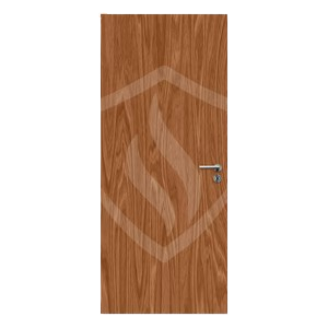Door Static Image
