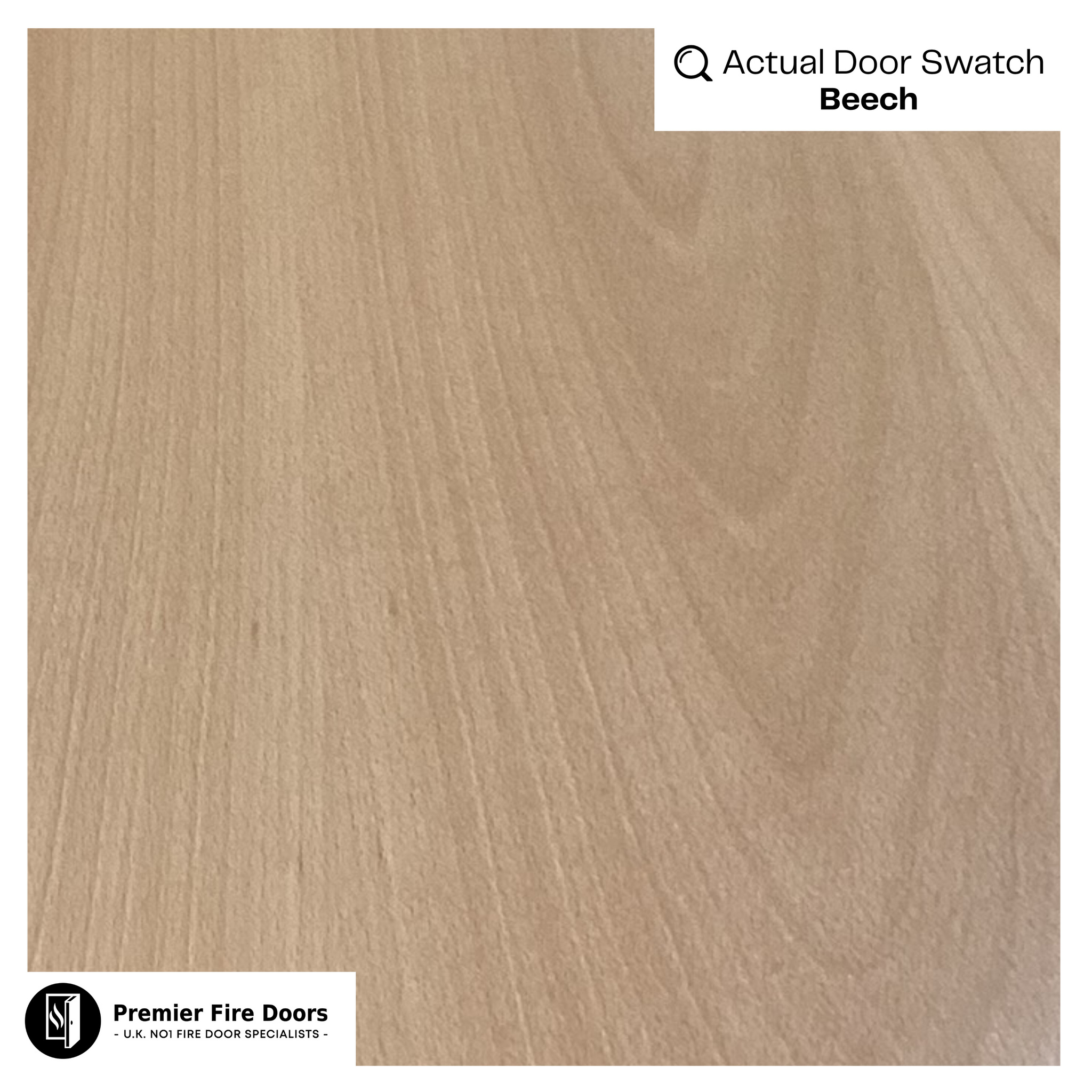 Beech_Swatch_0c3f6293-3254-