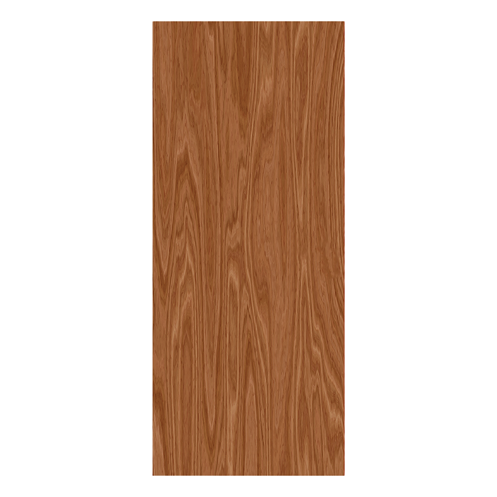 Single Doors