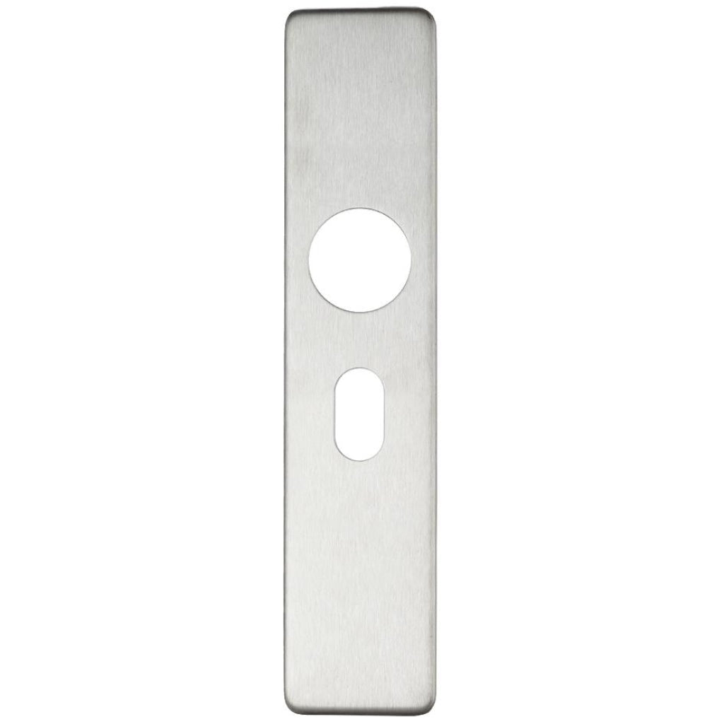 Cover plate for 19 mm and 22mm RTD Lever on Backplate - Oval Profile 48.5mm | Premier Fire Doors Premier Fire Doors